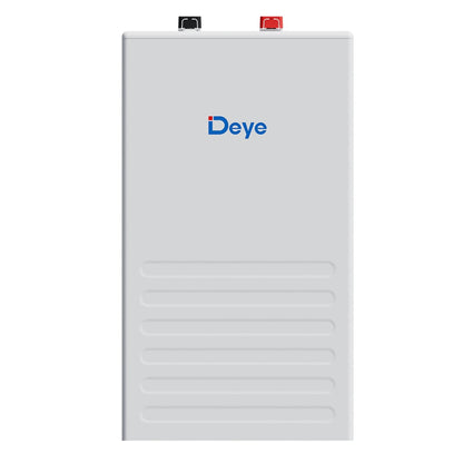 Achterkant DeyeSE-F16